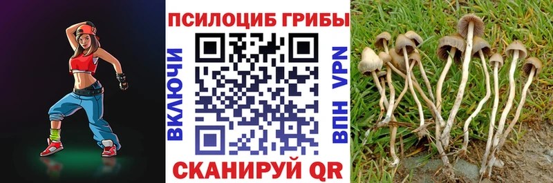 Галлюциногенные грибы Cubensis  Пошехонье 