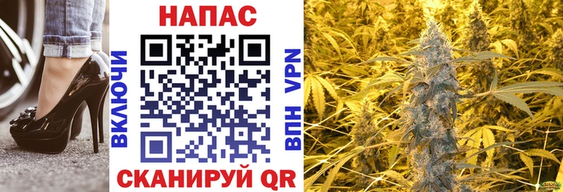 где купить наркоту  Пошехонье  Марихуана индика 